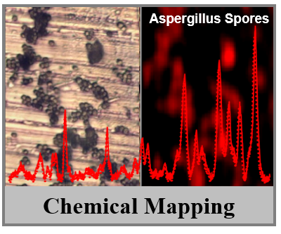 ChemicalMapping